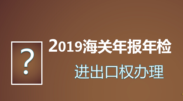 2019海关年报年检