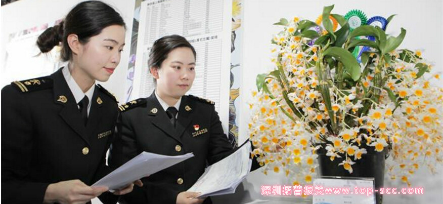 深圳报关公司